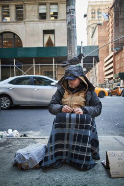 Sokakta kuşla oturan adam New York 'ta.