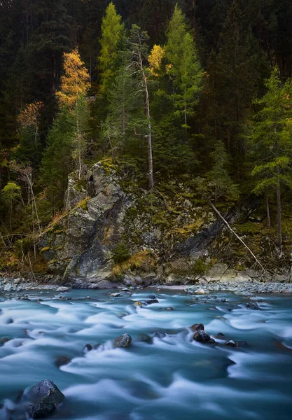 Ein Schöner Fluss Einem Wald Mit Klarem Wasser — Stockfoto