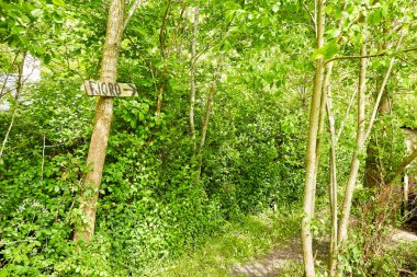 Ağaçta ev yapımı tabelası olan bir orman.