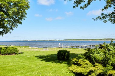 Sıcak yaz gününde, deniz kenarında yeşil bir tarla.