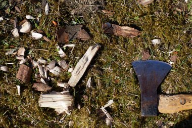 Bir baltayla yerde yatıyordu.