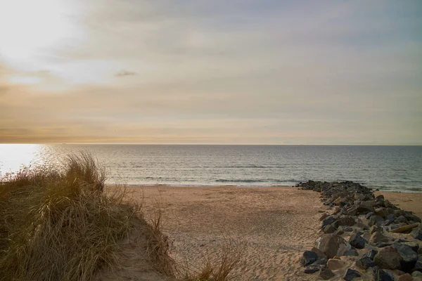 Çimenli ve taşlı bir okyanus manzarası