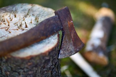 Bir ağaç kütüğünün üzerinde eski bir balta.