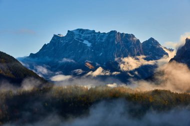 Ormanda güzel bir sis manzarası.