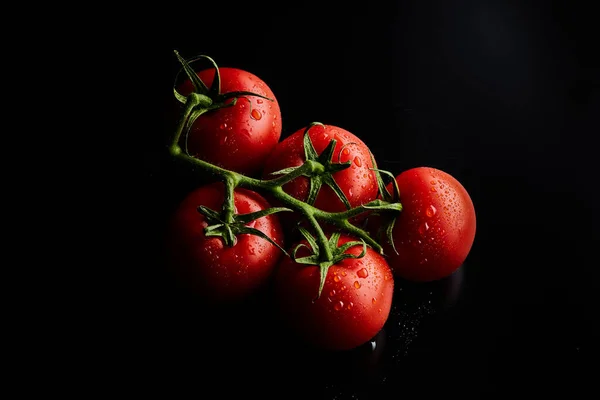 Archivfoto Von Tomaten Auf Einem Stammgrund — Stockfoto