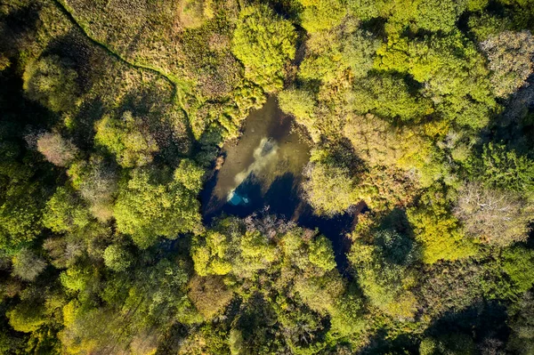 Красивий Вид Прозоре Блакитне Озеро Лісі — стокове фото