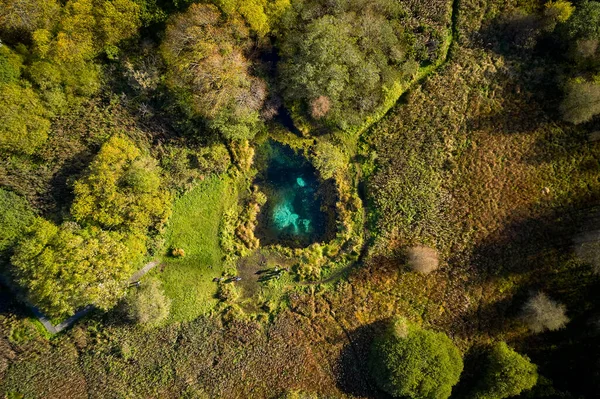 Красивий Вид Прозоре Блакитне Озеро Лісі — стокове фото