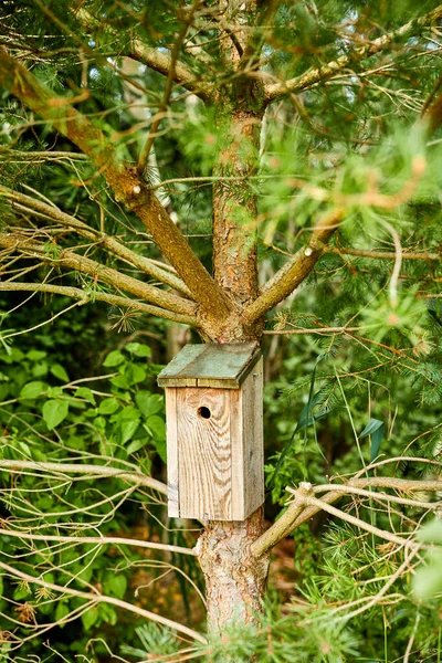 Een Houten Vogelhuisje Hangend Aan Een Boom — Stockfoto