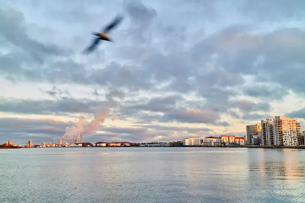 Flygfoto Över Staden Danmark Med Molnig Himmel — Stockfoto