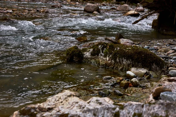 산으로 흐르는 아름답고 물이라 — 스톡 사진