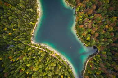 Doğa manzaralı güzel bir orman ve berrak mavi göl.