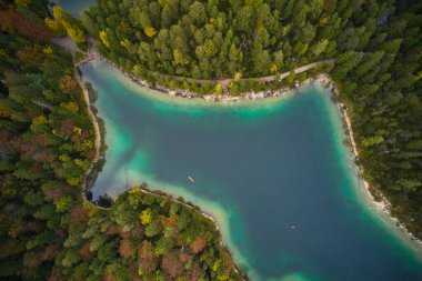 Doğa manzaralı güzel bir orman ve berrak mavi göl.