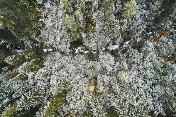 高山上危险的弯道 — 图库照片