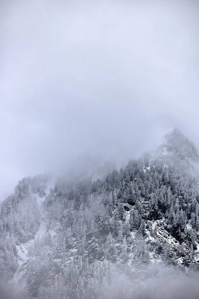 Nevoeiro Nebuloso Paisagem Montanhas Nevadas — Fotografia de Stock