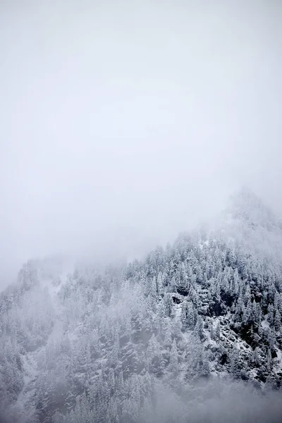 Neblige Und Neblige Landschaft Verschneiter Berge — Stockfoto