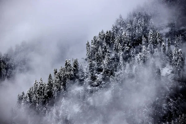Ομιχλώδες Και Ομιχλώδες Τοπίο Χιονισμένων Βουνών — Φωτογραφία Αρχείου
