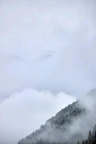 Foggy Misty Landscape Snowy Mountains — Stock Photo, Image