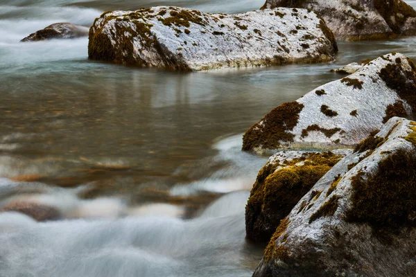 바위와 나무가 흐르는 아름다운 — 스톡 사진
