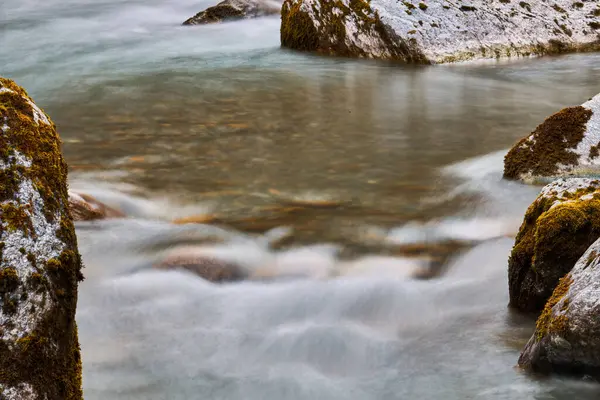 바위와 나무가 흐르는 아름다운 — 스톡 사진
