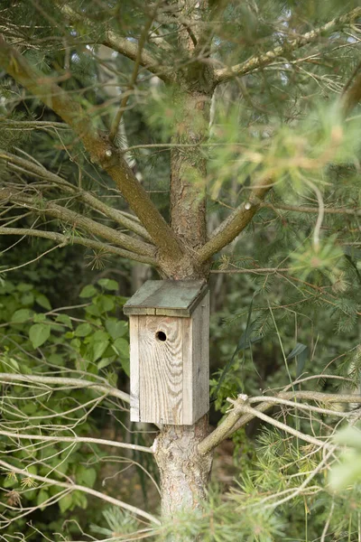 Houten Vogelhuisje Hangend Aan Een Boom Een Bos — Stockfoto