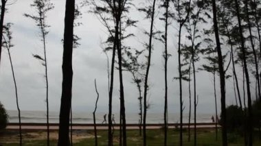 Atış bir Hint Beach pan