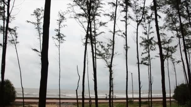 Plan panoramique de personnes marchant le long de la plage . — Video