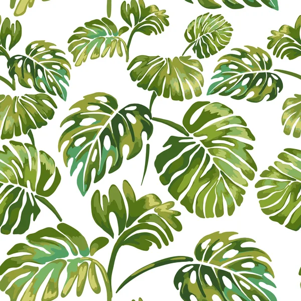 Hojas de la selva sobre un fondo blanco. Monstera verde tropical . — Vector de stock