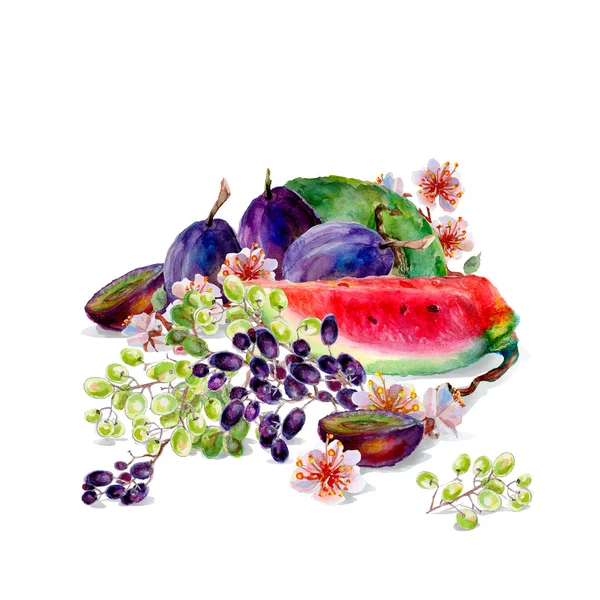 Aquarel gemengd fruit. — Stockfoto