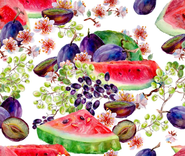 Akvarell, vegyes gyümölcs. — Stock Fotó