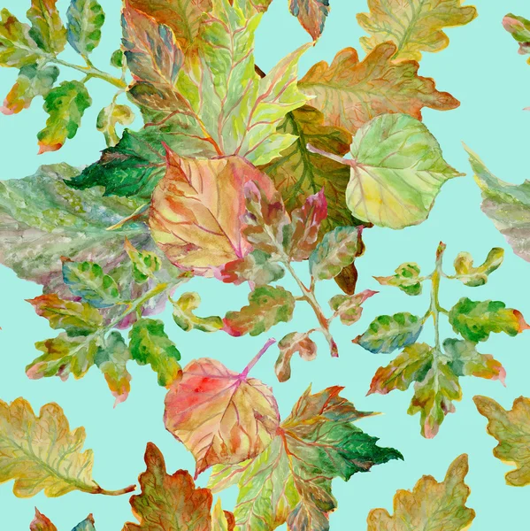 Aquarel. Herfstbladeren — Stockfoto