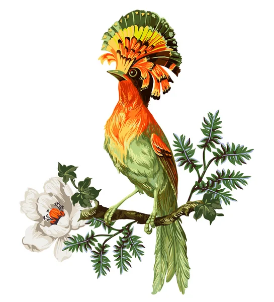 Cennet kuşu ve egzotik çiçekler — Stok Vektör
