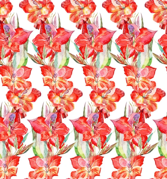 Watercolor flowers gladiolus — Stock Photo, Image