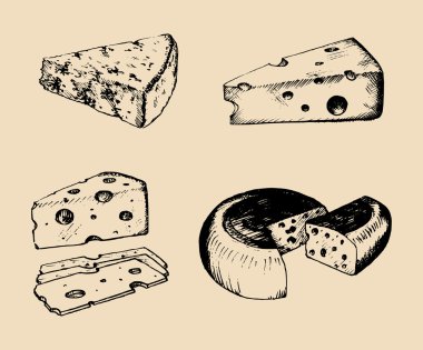 Different cheese sketches