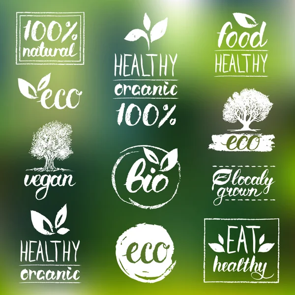 Healthy eat retro logos set — Stock vektor