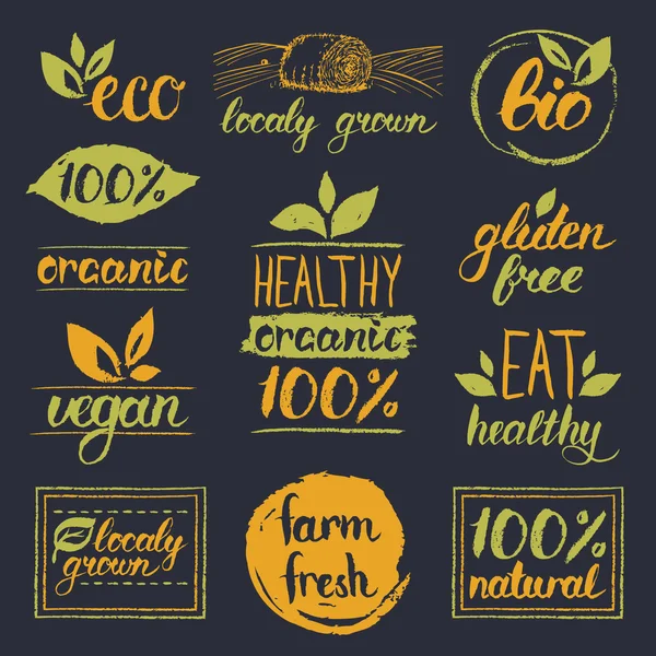 Healthy eat retro logos set — Stock Vector