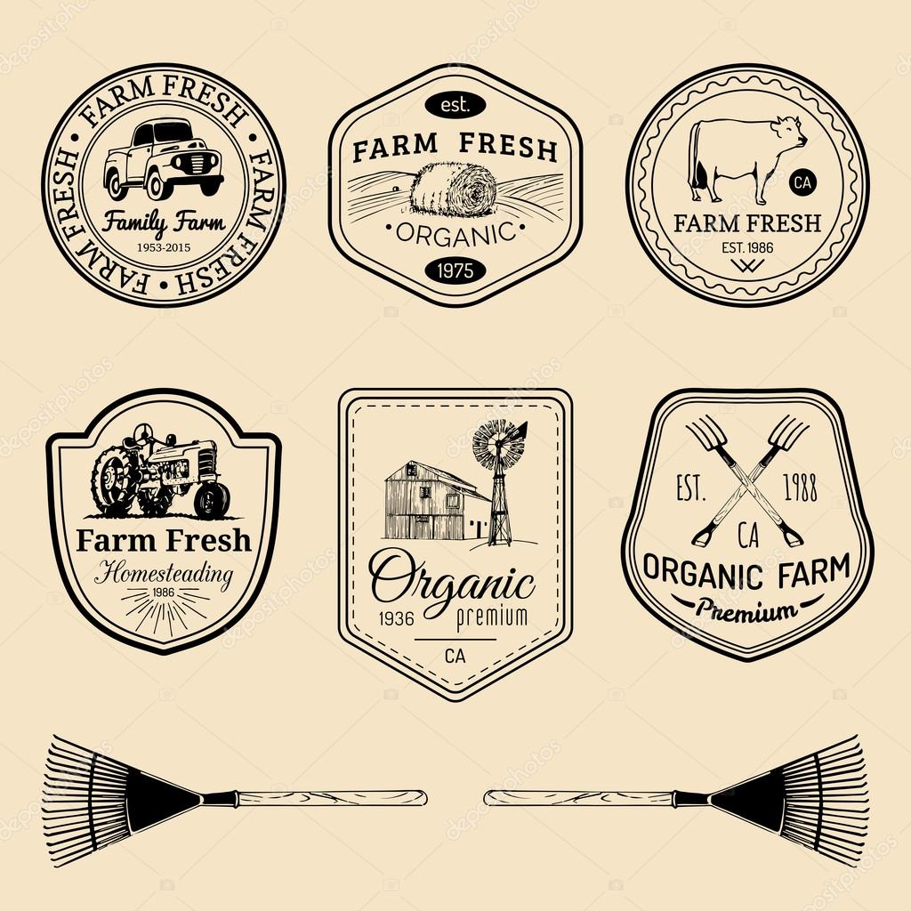 Vector retro set of farm fresh logotypes. Vintage farm logos collection. Organic farm logos set. Farm signs.