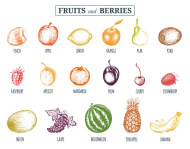 El yapımı meyveler