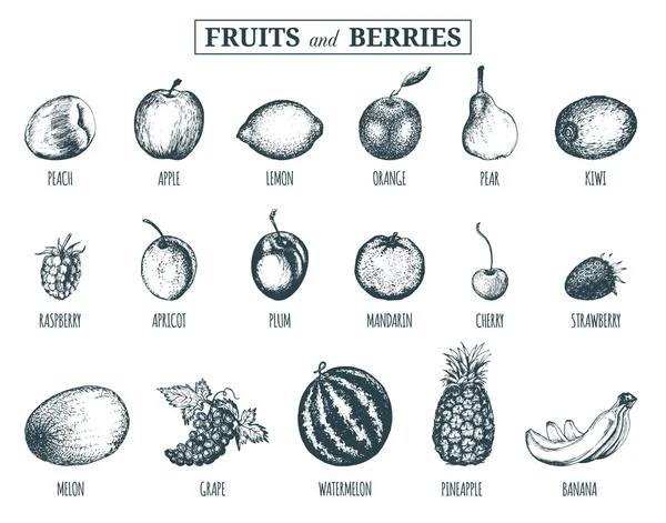 Frutos colhidos à mão —  Vetores de Stock