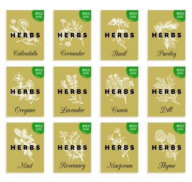 Otlar ve baharatlar kartları seti.