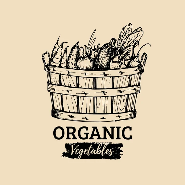 Logotipo da cesta de legumes orgânicos — Vetor de Stock