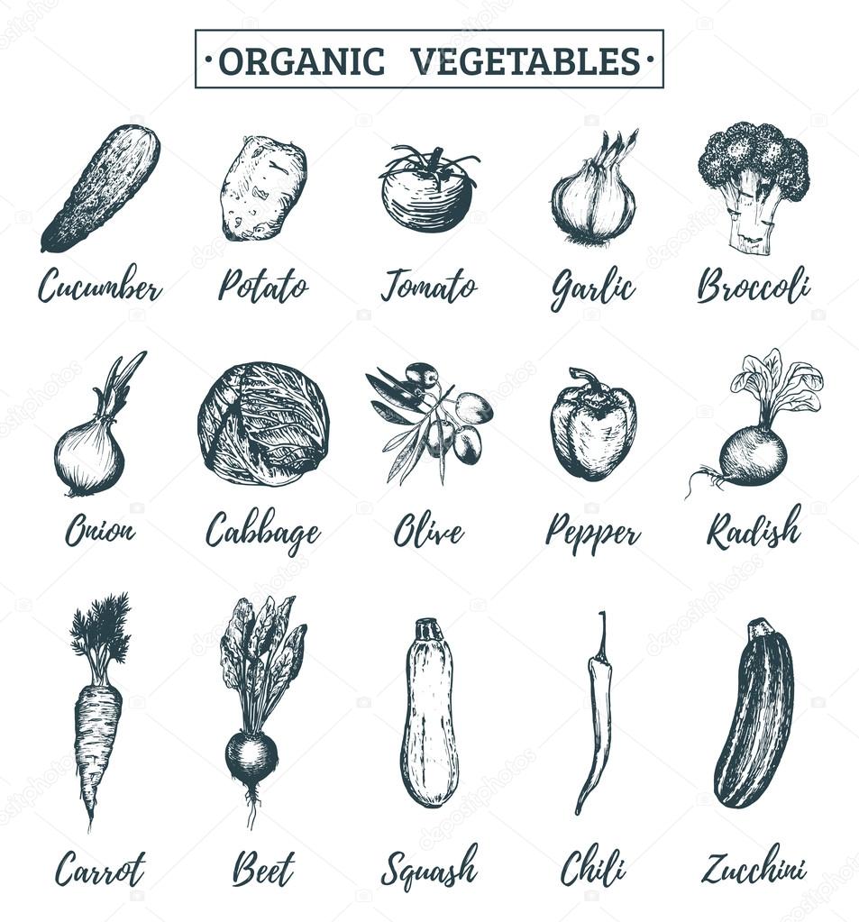 set of food vegetables icons