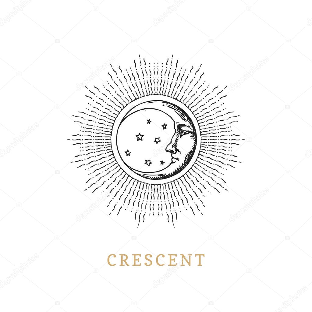 Crescent moon, vector image in engraving style.