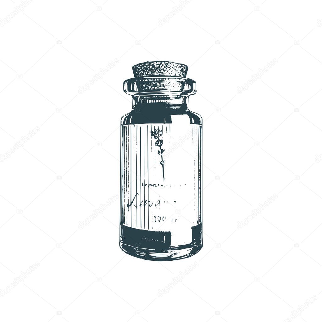 Graphic illustration of essential oil vial in engraving style. Perfume bottle, vector sketch. Used for perfume sticker, spa shop label etc.