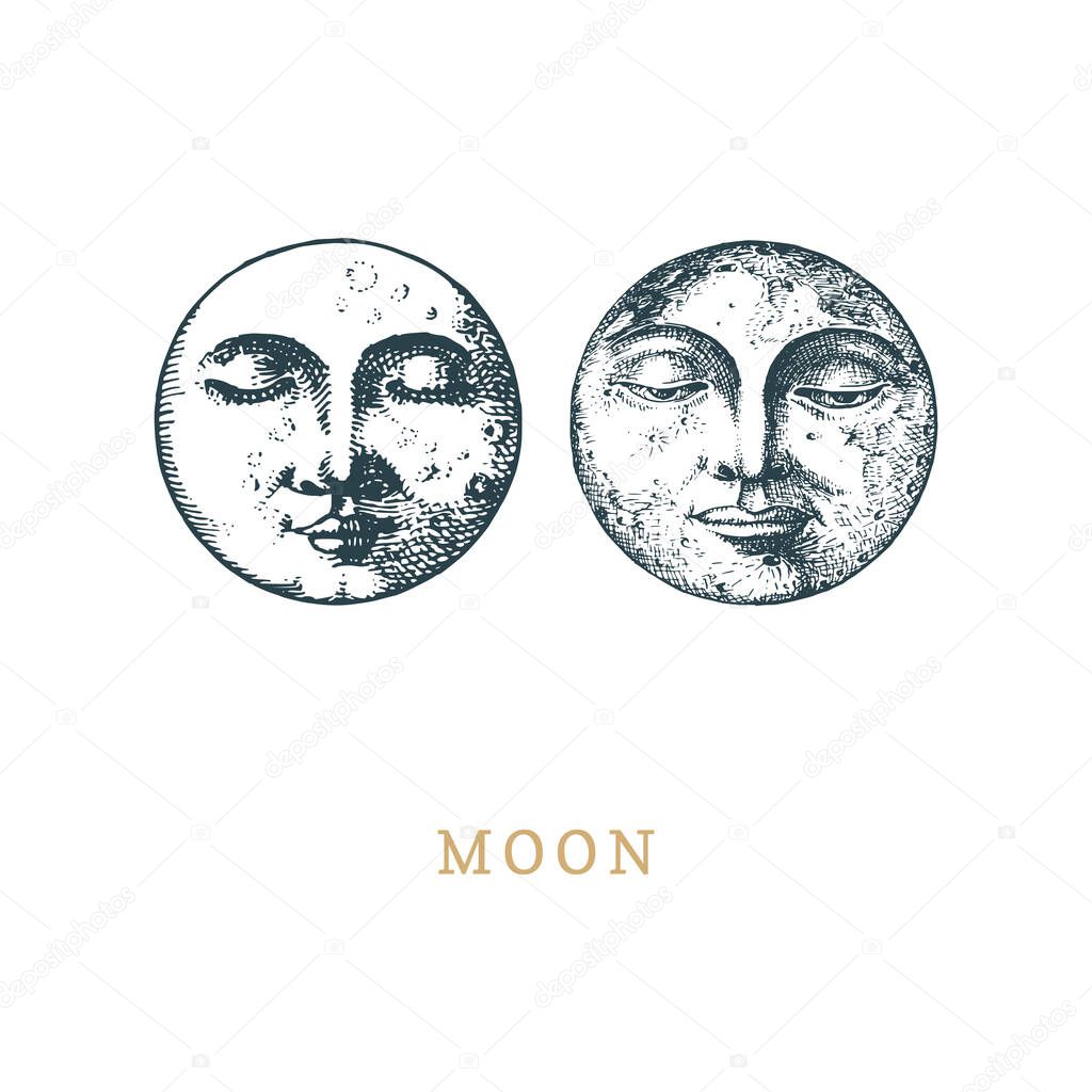 Set of Moon drawings in vector.Retro illustrations