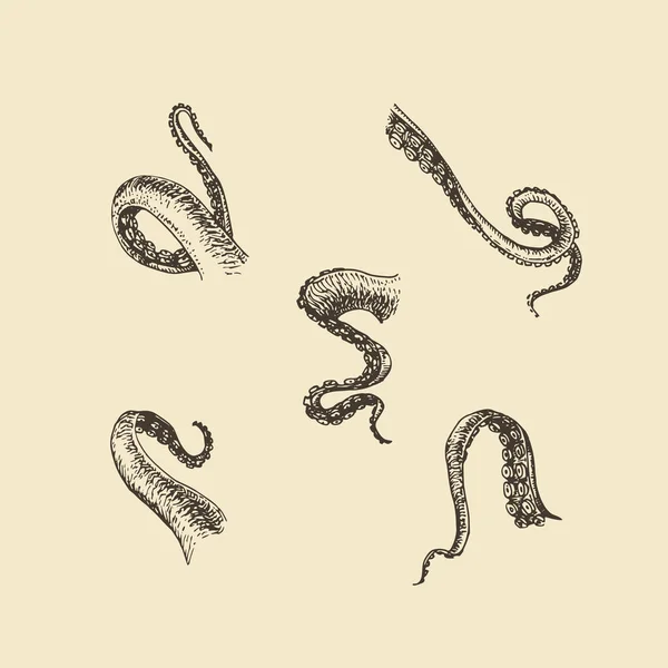 アオリイカ イラスト Vector Art Stock Images ページ 3 Depositphotos アオリイカ イラスト Vector Art Stock Images ページ 3 Depositphotos