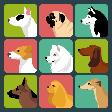 farklı köpekler simgeler kümesi