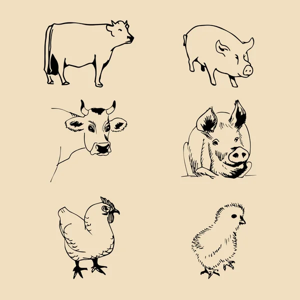 一連の家畜 — ストックベクタ