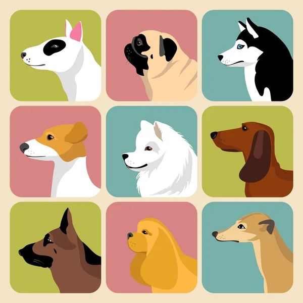 Set verschiedener Hunde-Symbole — Stockvektor