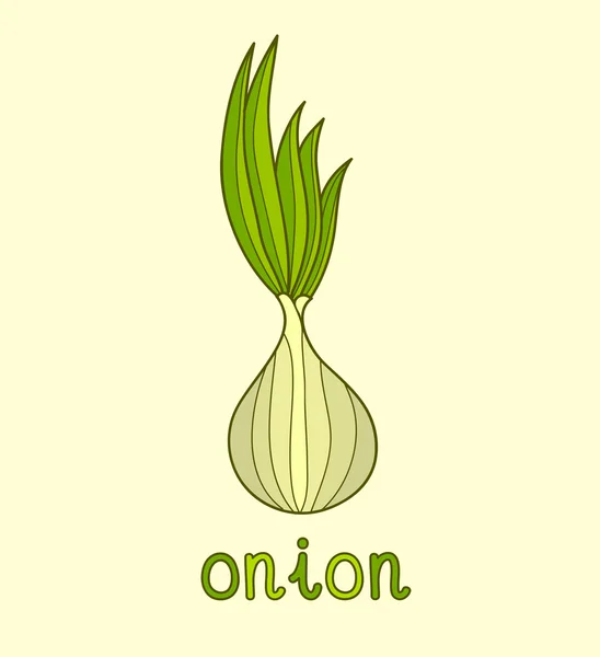 Cartoon Illustration of onion — Stock Vector