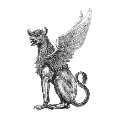 Gryphon, oymacılık tarzında vektör çizimi, mistik yaratığın çizimi
